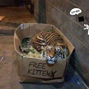 男生和女生一起打桩做爱
