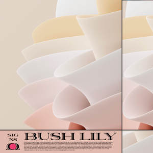 中国农村妇女内谢
